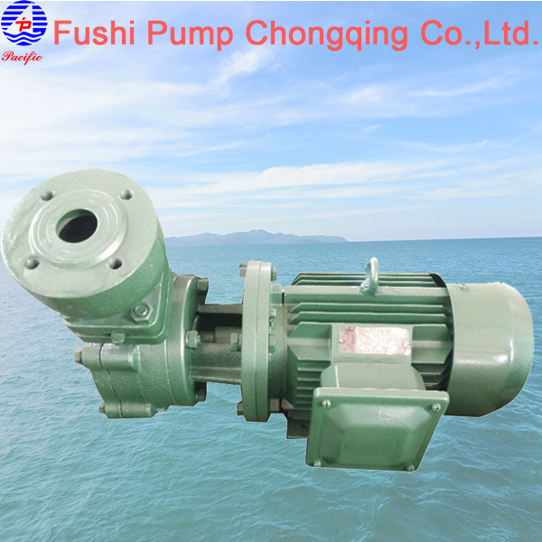 Marine Domestic Water Pump_Fushi Pump Chongqing Co.,Ltd.
